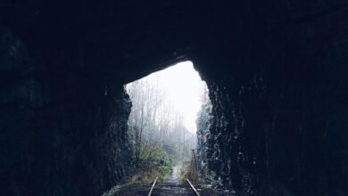 call abandonment monitoring system